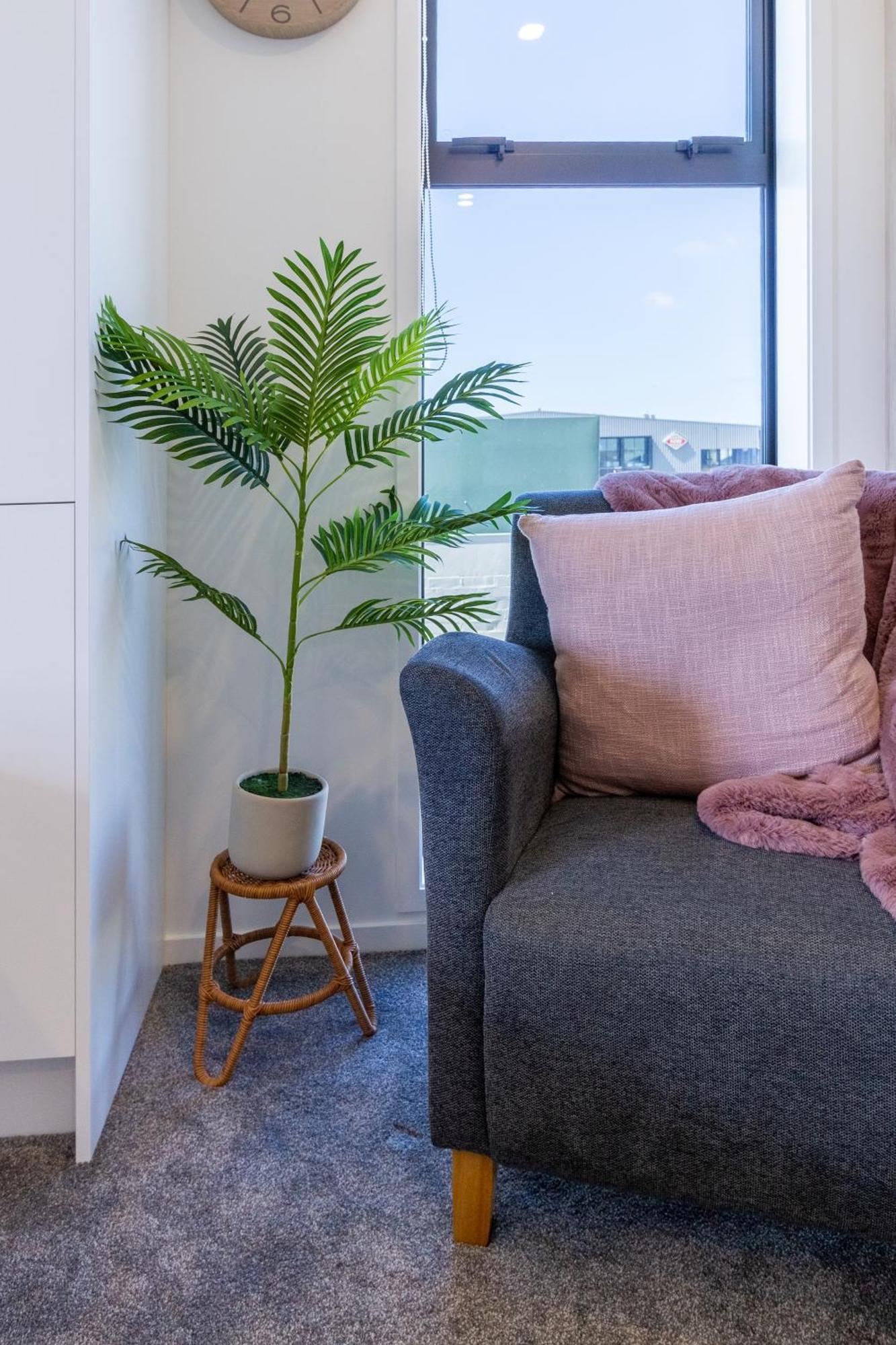 Studio Bliss: Explore From Wilmer St Christchurch Exterior foto